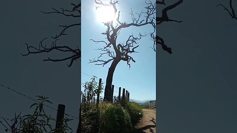 PEQUENO TRECHO DA ULTRAMARATONA UAI 2023 MINAS GERAIS