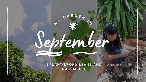 Accompany me to transplante cucumbers and white beans🌱