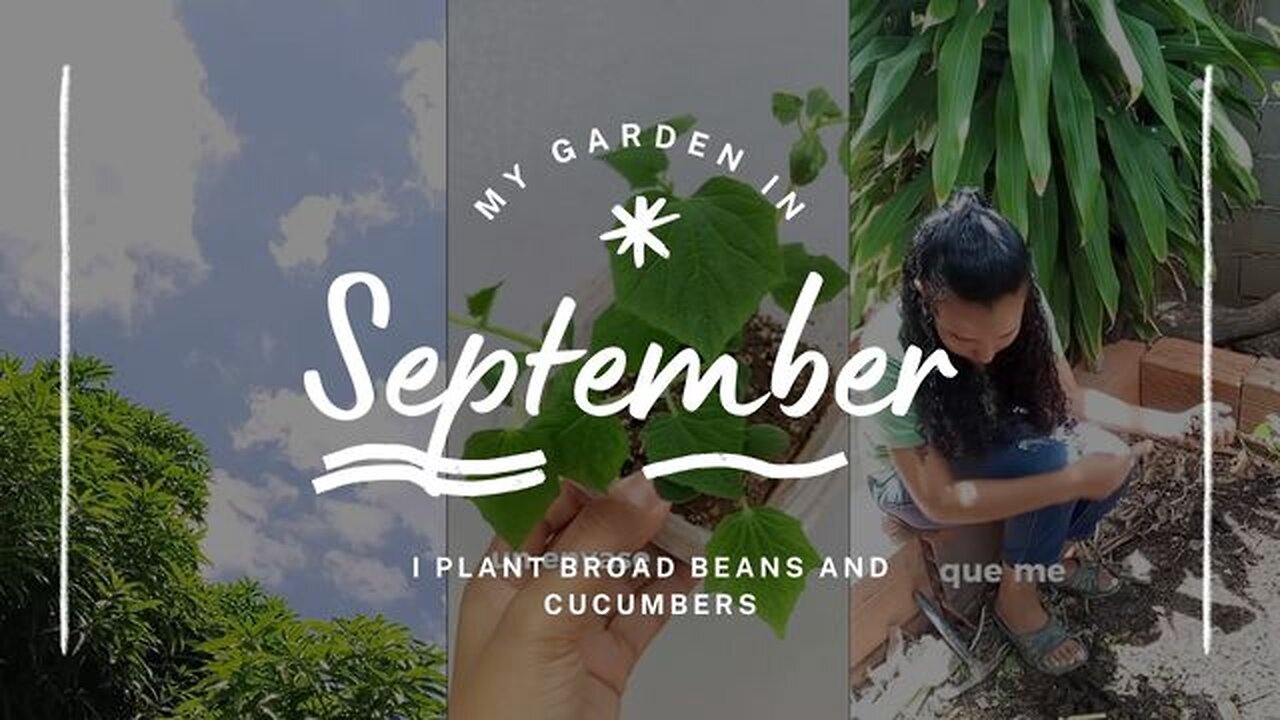 Accompany me to transplante cucumbers and white beans🌱