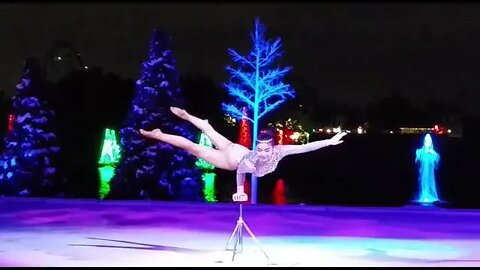 Christmas Celebration at Sea World, Orlando