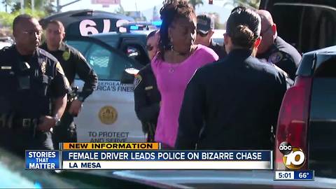Female driver leads police on bizarre chase