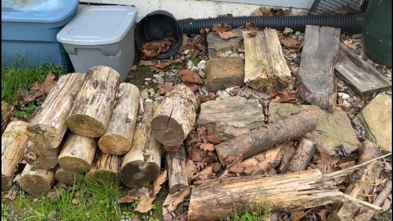 Cleaning up the wood pile