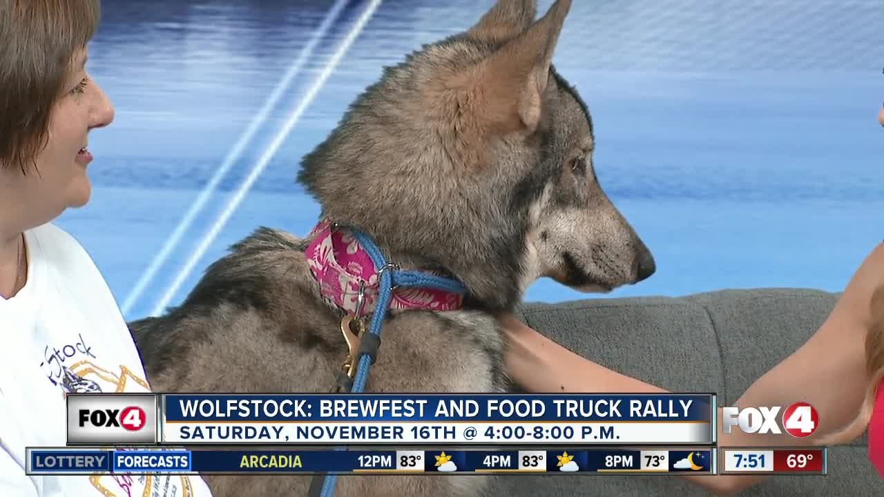 Wolfstock Brewfest and Food Truck Rally preview