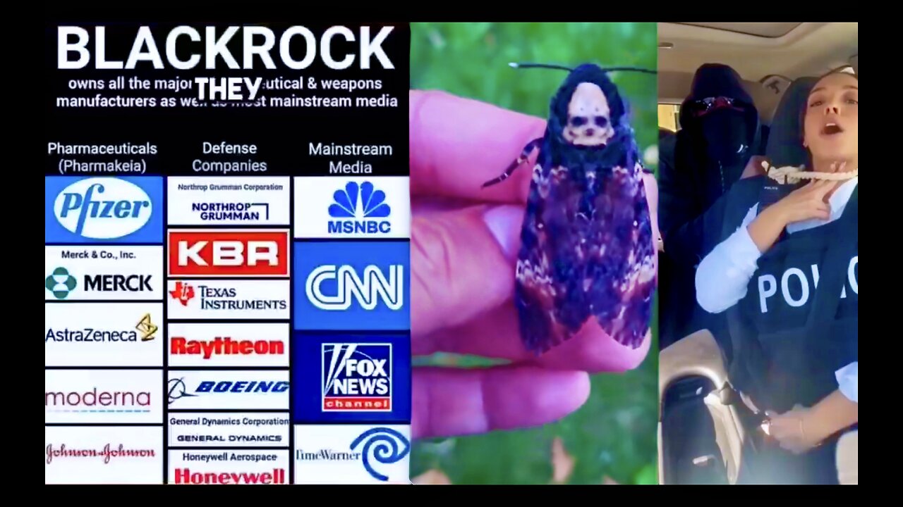 BlackRock Owns Everything CBDC Is Digital Slavery Leader Of ISIL Is Mossad Agent Mudshark Dating USA