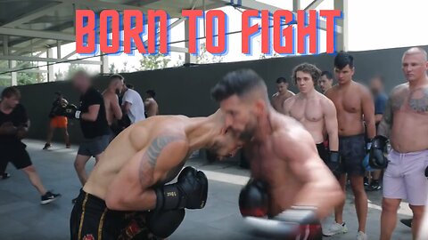 Born To Fight- Andrew & Tristan Tate