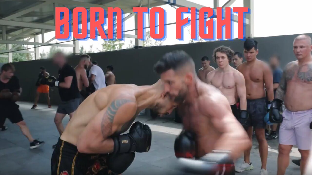 Born To Fight- Andrew & Tristan Tate
