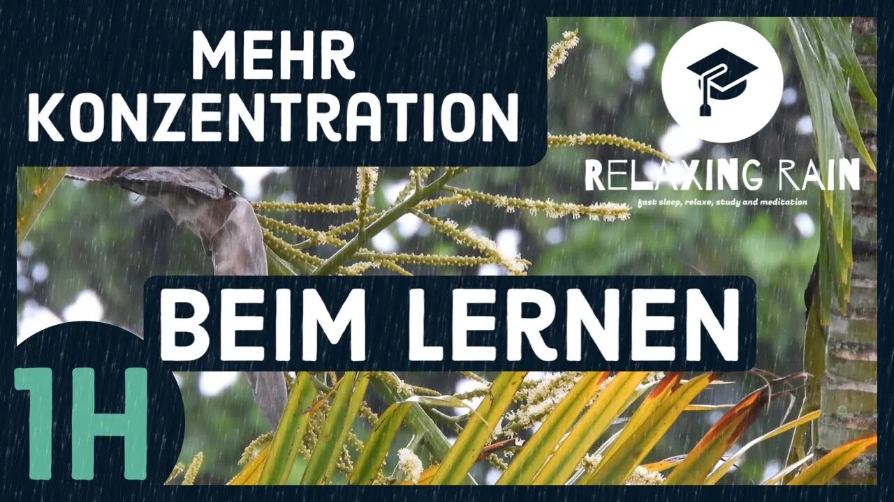 More concentration while learning with the sound of light tropical rain | 1h |