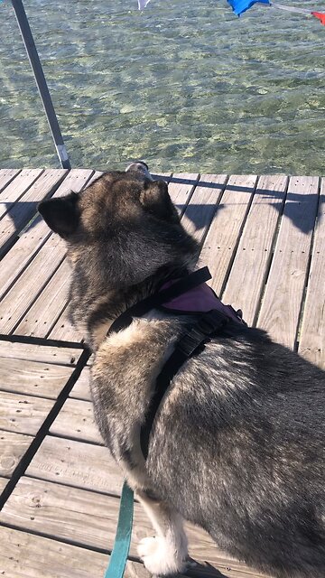 Thursday Oct 24, Their doom is in the lake that burns with fire in Sulphur