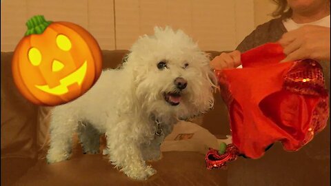 PICKING QUINCY'S HALLOWEEN COSTUME!