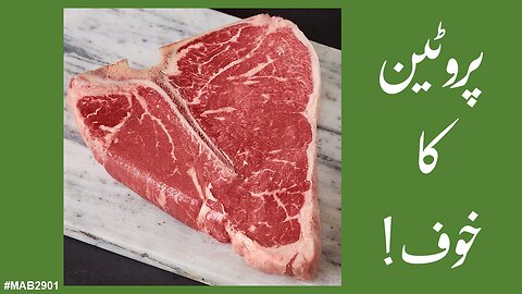 2024-015 - Urdu - Fear of Protein - پروٹین کا خوف