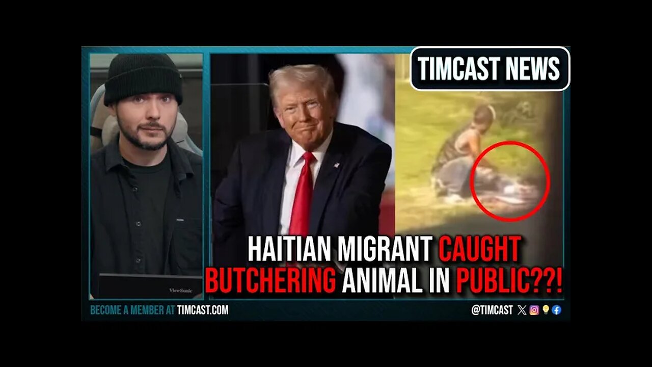 Video Claims Haitian Migrant BUTCHERED Animal In Public, Haitians DEMAND Trump Get Felony Charges