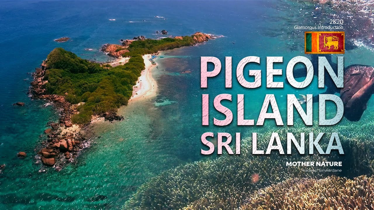 PPigeon island National park Sri lanka