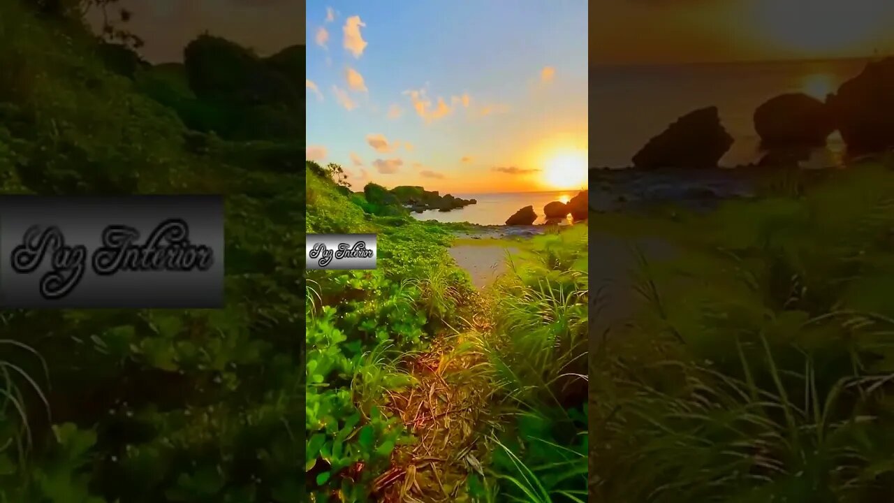 Melhores vídeos,imagens incríveis #shorts
