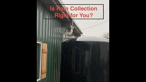 Is rain collection right for you?