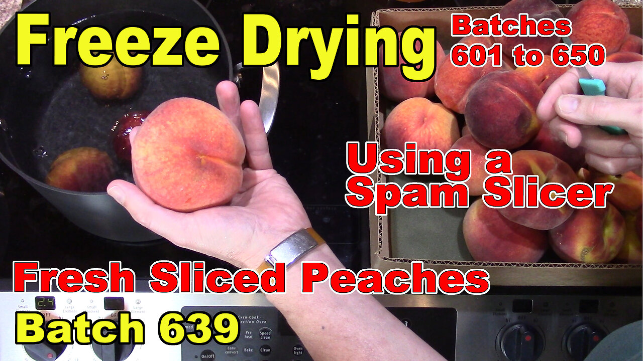Freeze Drying More Sliced Peaches - Batch 639 - Sliced using a Spam Slicer
