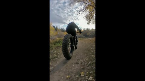 Days River Rippin 75 ( Fatback Rhino )