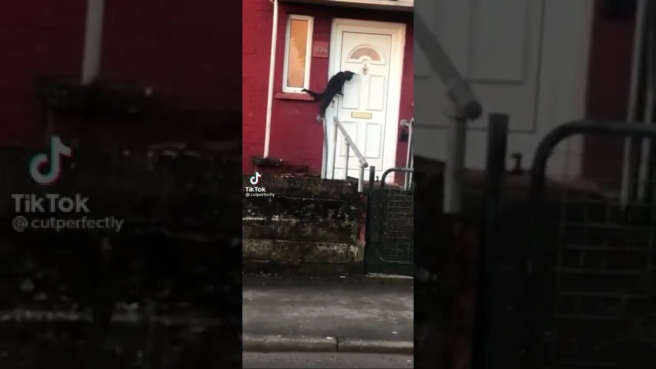 Knock Knock
