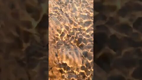 "Water Beauty"