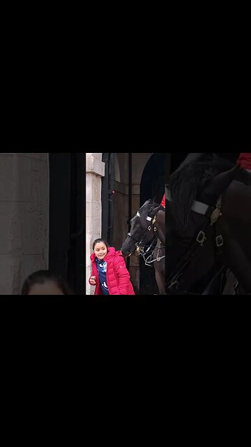 the horse grabs her by the coat #horseguardsparade