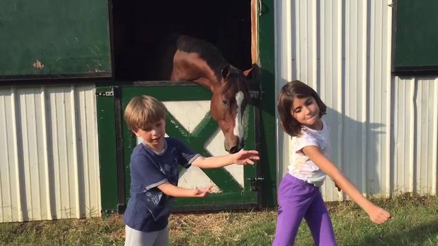 "A Boy and A Girl Dance the Whip and Nae Nae Outside A Horse Stable"