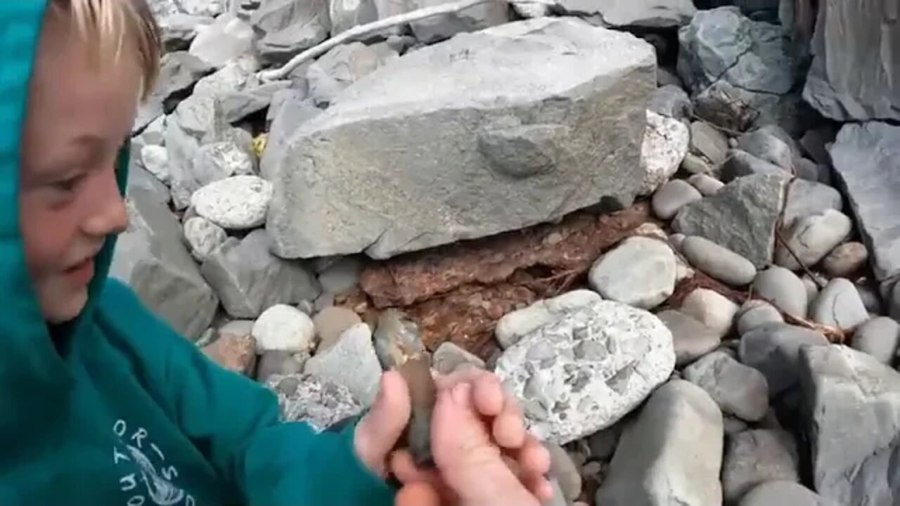 Catching ! 1200 ! lbs ! 544 ! kg ! of ! Fish ! and Exploring a WWII Battlefield!!!