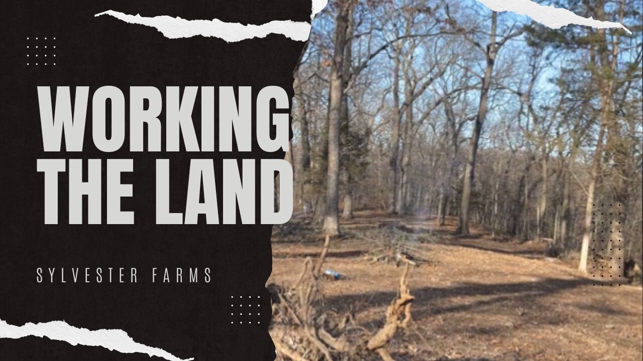 Working the Land