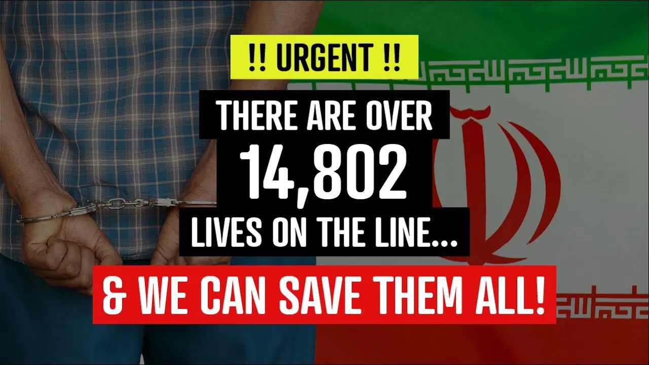 URGENT MESSAGE: There are over 14,000 lives on the line - AND WE CAN SAVE THEM ALL!!!