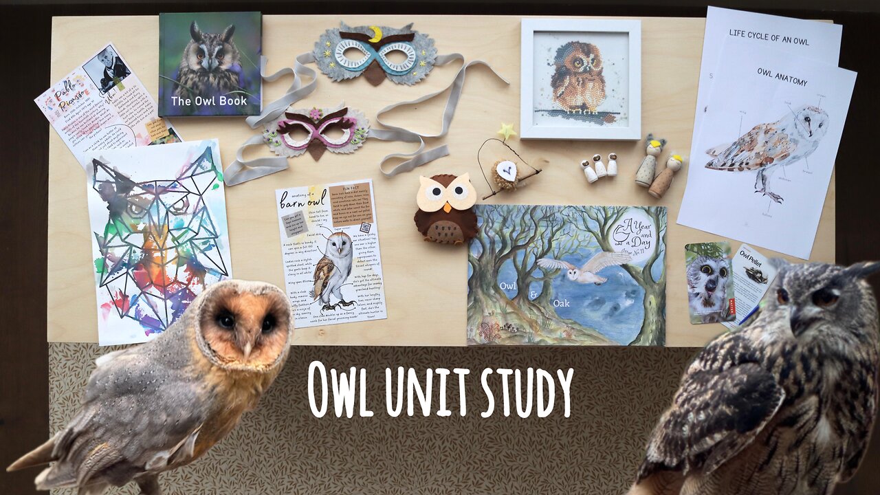 Owl Unit Study