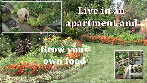 Garden from an apartment