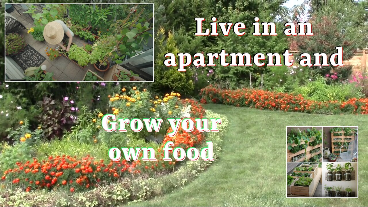 Garden from an apartment