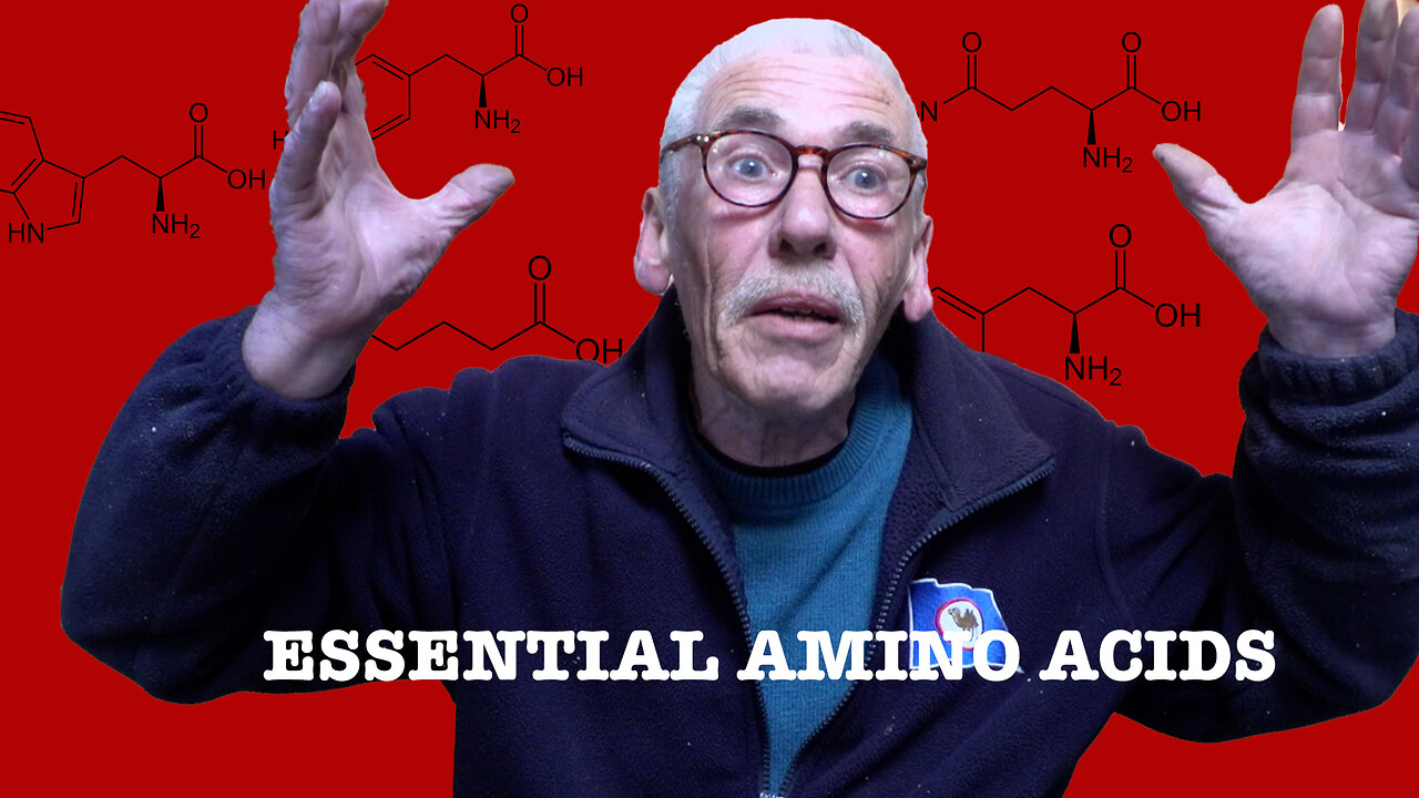 Essential Amino Acids An Introduction