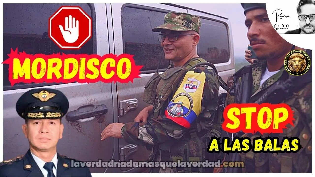 🛑 STOP A LAS BALAS
