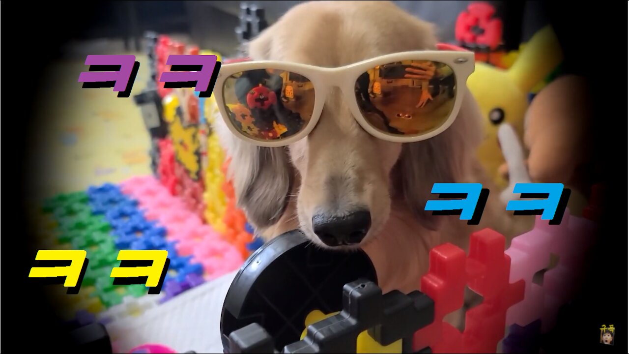 잠시 놀러 온 새로운 친구(?) New Friend