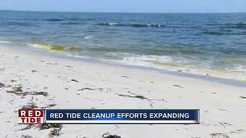 Residents pack Venice City Hall to voice concerns during special meeting on red tide