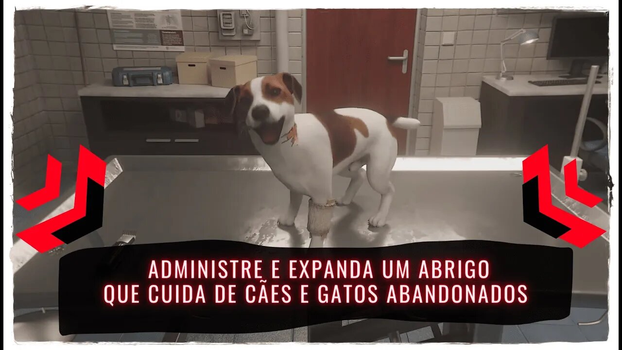 Animal Shelter Simulator - Administre e Expanda um Abrigo que Cuida de Cães e Gatos Abandonados