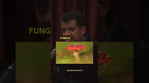 Neil deGrasse Tyson on Fungus 🍄 | #shorts #joerogan #jre