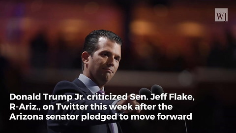 Trump Jr. to Jeff Flake Following Texas Massacre: 'Gov't Employees, Like You, Failed To Do Their Job'