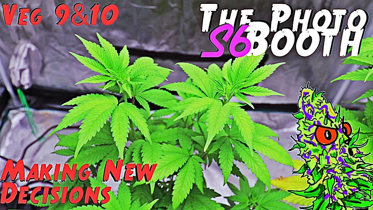 The Photo Booth S6 Ep. 6 | Veg 9 & 10 | Making New Decisions