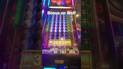 BONUS ON WOLF