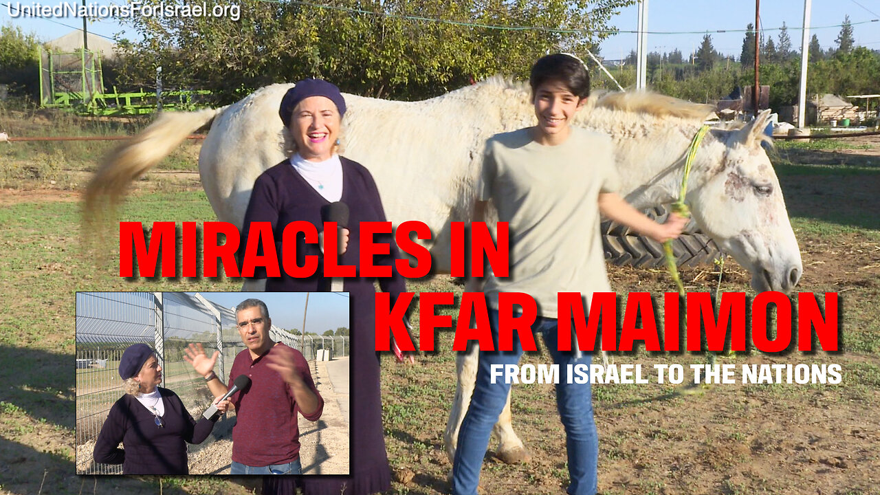 Miraklerna i Kfar Maimon | Dr. Dominiquae Bierman