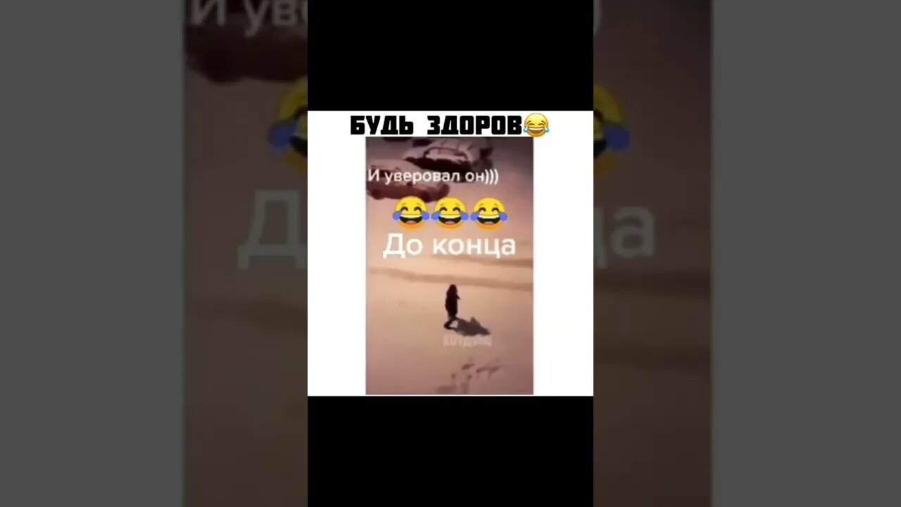 #приколы #мирослав #лебіга #капуста #гумор #блогер #українською #смішно #сміх #кіт #кітнепригай #1k