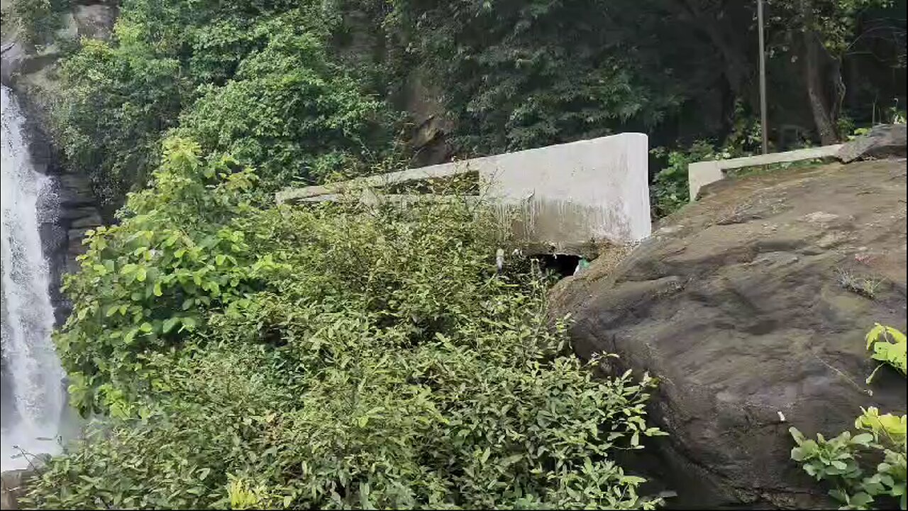 nature