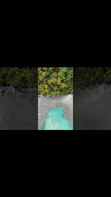 Beautiful Natural View