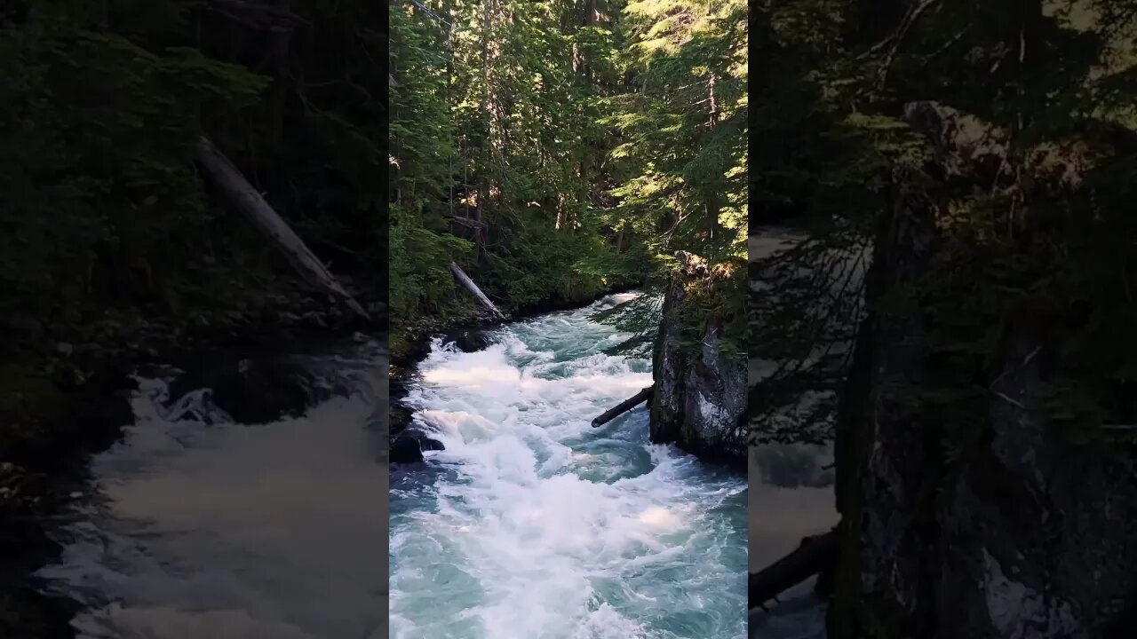 Rivers in Canada #shorts #soothing #nature #relaxing