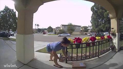 Package stolen by woman with child in stroller