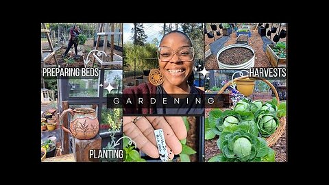So many PEPPER plants! Today is the day! #growyourownfood