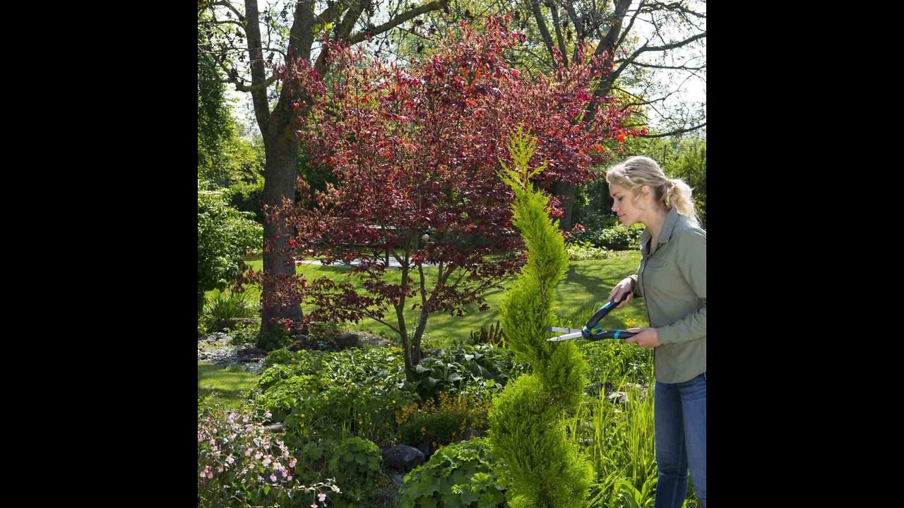 Gardena heckenschere precisioncut: ergonomische gartenschere für den exakten formschnitt