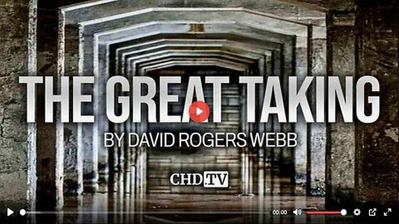 "How Banksters Plan To Steal Everything From Everyone" 'David Webb' 'The Great Taking' Documentary