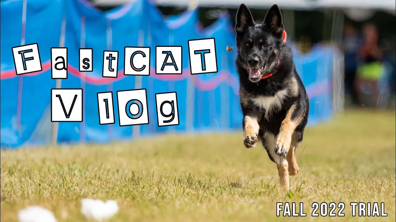 AKC FastCAT Vlog - Fall 2022 Trial