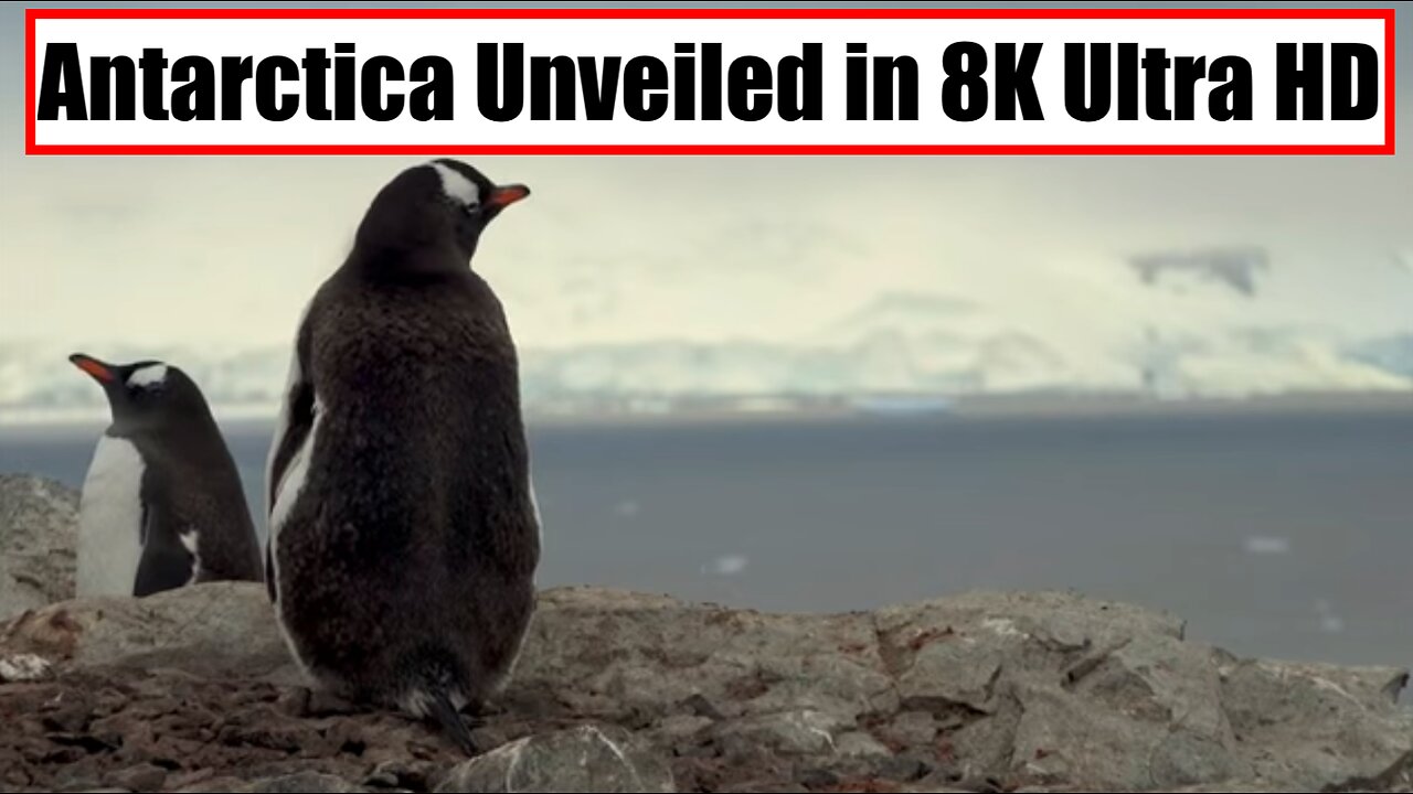 Antarctica Unveiled in 8K Ultra HD